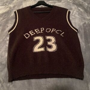 Brown Sleeveless Knit Sweater Vest